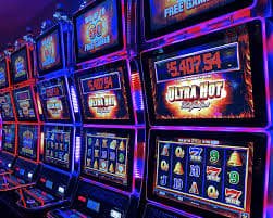101bet 101bet